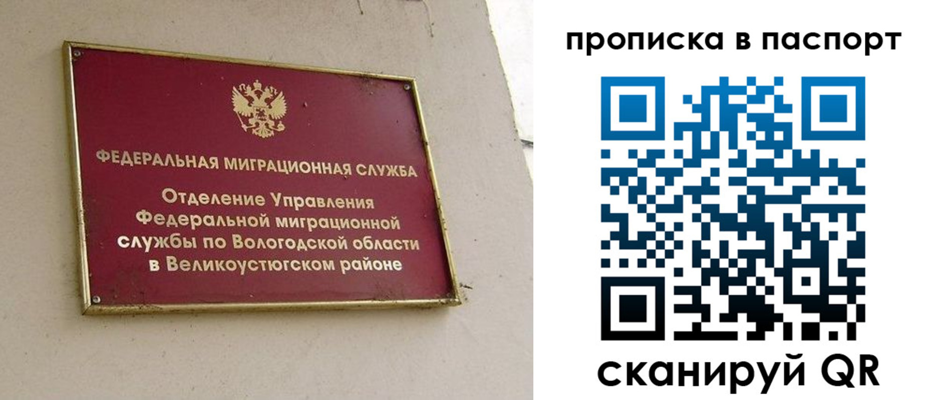 где прописаться в Курске